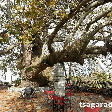 Гостевой дом Nikolaou House 3*