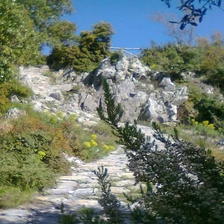 Nikolaou House Цагарада