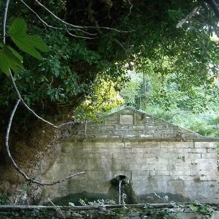 Гостевой дом Nikolaou House Цагарада