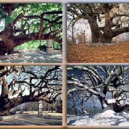 Nikolaou House Цагарада