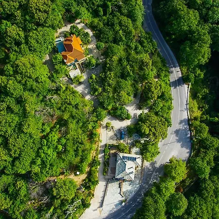 Nikolaou House Цагарада